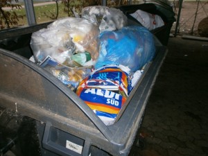 Zuerst unscheinbar, aber ein Müllbeutel war leicht aufgerissen und so konnte &quot;etwas&quot; rausblitzen.