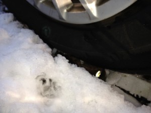hier sieht man die gummistiefel, die den ganzen druck des reifens, auf die schuhe untendran weitergeben. so drücken sie ihr profil ins lerer der schuhe.