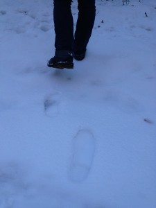 da schritt engelchen von dannen, mit dem hund durc den winterlichen wald. die schuhe waren ihr völlig egal.