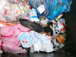 Nachdem ich ein gutes Viertel des Containerinhaltes in andere Müllcontainer umgeladen hatte, fand ich endlich den anderen Schuh.