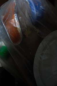 DSC_1411.JPG