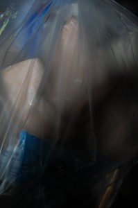 DSC_1412.JPG