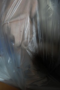 DSC_1423.JPG