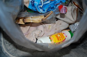 DSC_1427.JPG