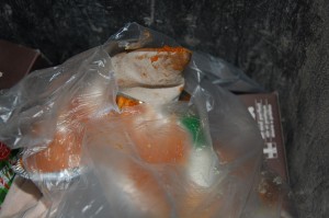 DSC_1435.JPG