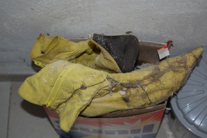 DSC_1587.JPG