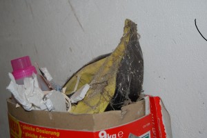 DSC_1602.JPG