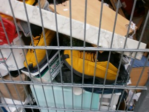 So gelb wie "Tweety" und mindestens so begehrt! Jetzt verstehe ich Kater Sylvester. Grins!