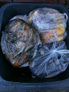 Müll0213 172.jpg (286.95 KiB) 5217 mal betrachtet Und wieder ein Haufen stinkender Dreck auf den geilen Abfällen!