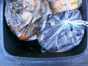 Müll0213 171.jpg (312.5 KiB) 5543 mal betrachtet Die süße Girly-Jacke liegt schon tief im Dreck und ist kaum noch zu erkennen.